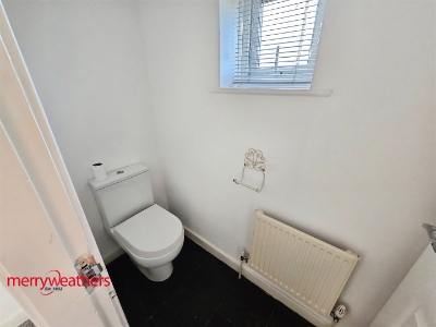 Picture 8